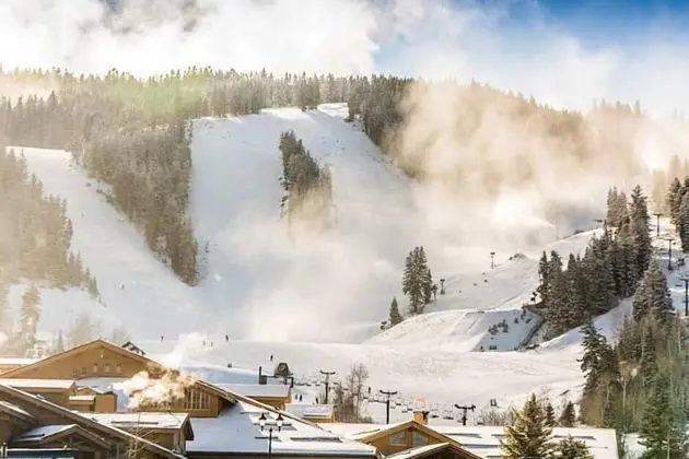 Powder Run