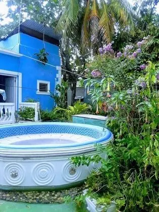 Powell's Guesthouse - Havuz