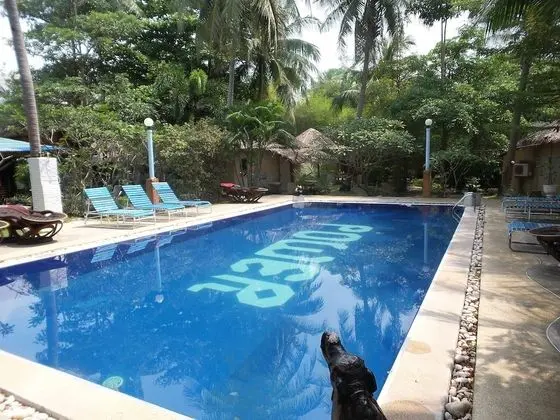 Power Beach Resort - Havuz