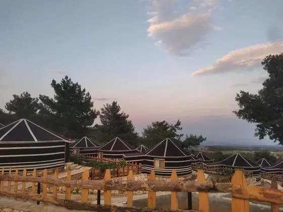Pozitif Koy - Genel
