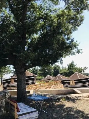 Pozitif Koy - Genel