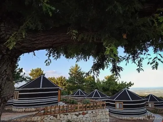 Pozitif Koy - Genel