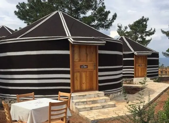 Pozitif Koy - Genel