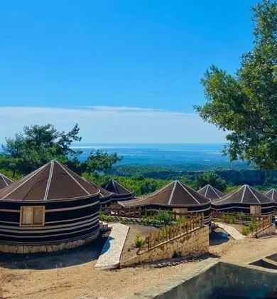Pozitif Koy