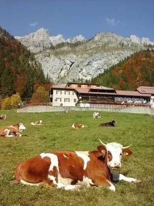 Hotel Pradibosco Agrituristico - Dış Mekan