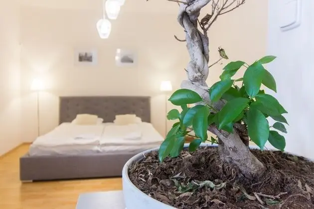 Prague City Apt on WenceslasSquare for 6