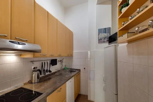 Prague city center apartment - Mutfak