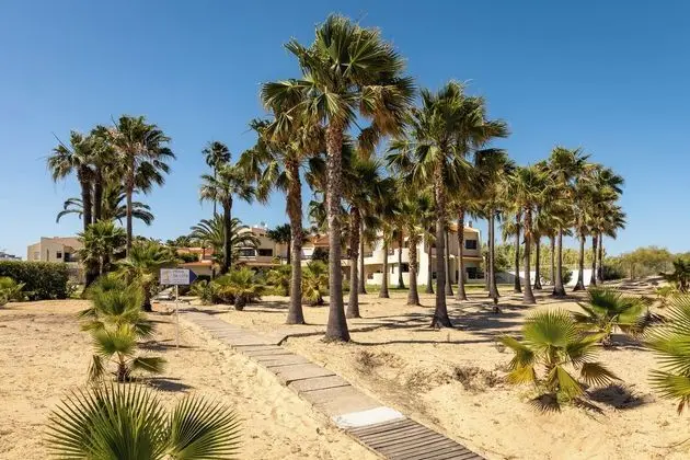 Praia da Lota Resort - Apartments - Plaj
