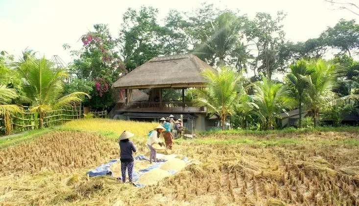 Prashanti Ubud - Dış Mekan