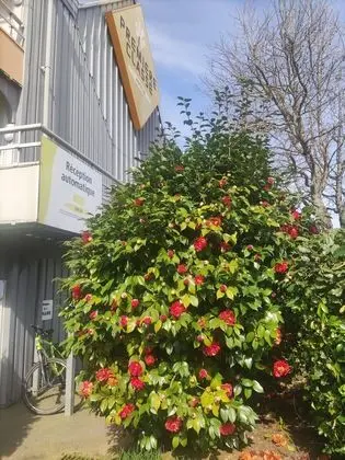 Hotel Première Classe Vannes - Dış Mekan