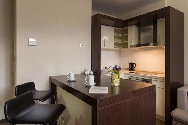 Premium Apartments Gorki Gorod 540 - Mutfak