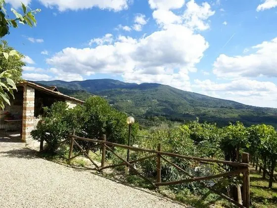 Premium Holiday Home in Pelago With Swimming Pool