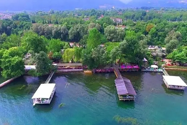 Premium Sapanca Resort - 1