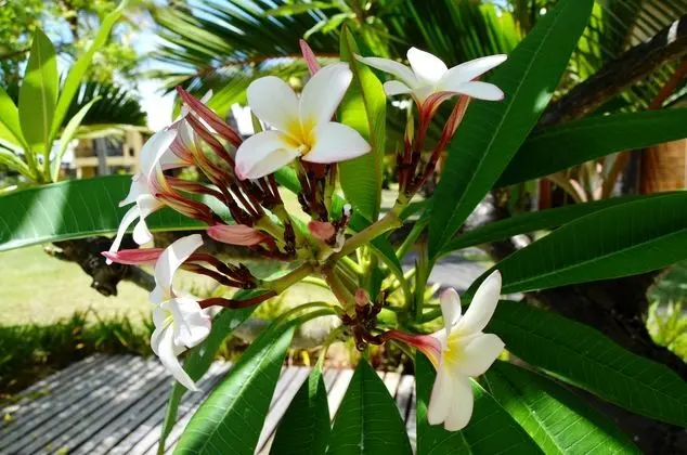 Preskil Island Resort