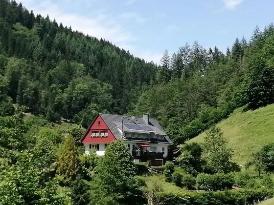 Pretty Apartment in Oppenau near Black Forest National Park - Dış Mekan
