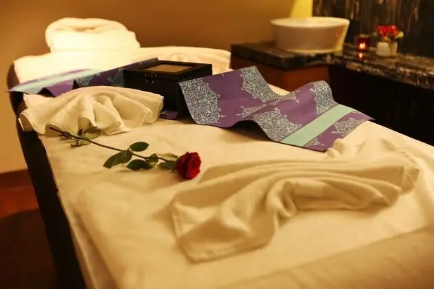 Pride Plaza Hotel Aerocity New Delhi - Spa
