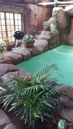 Pride Rock Accommodation - Havuz
