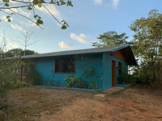 Villa With Primary Forest View