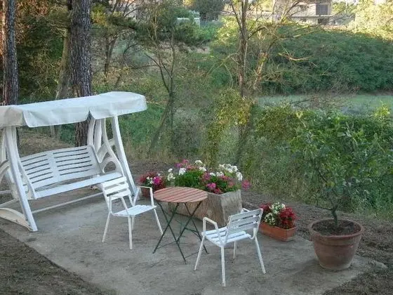 Primavera - Genel