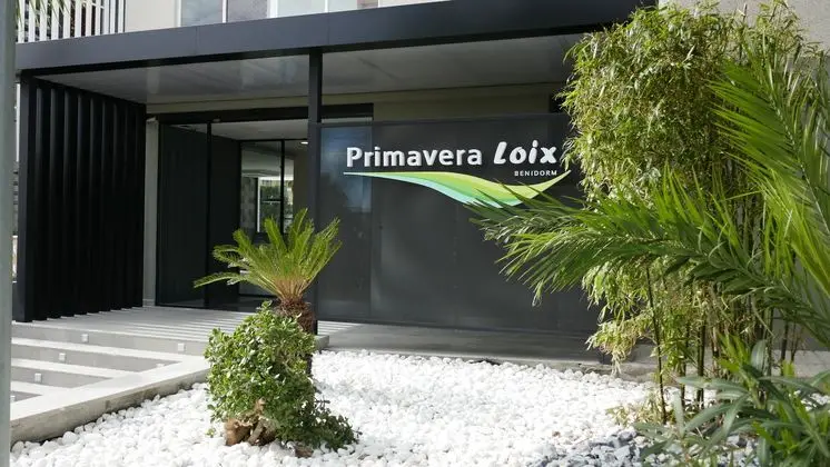 Primavera Loix