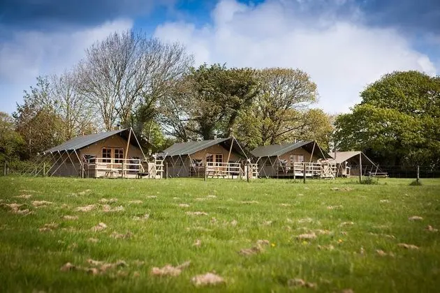 Primrose Farm Holidays