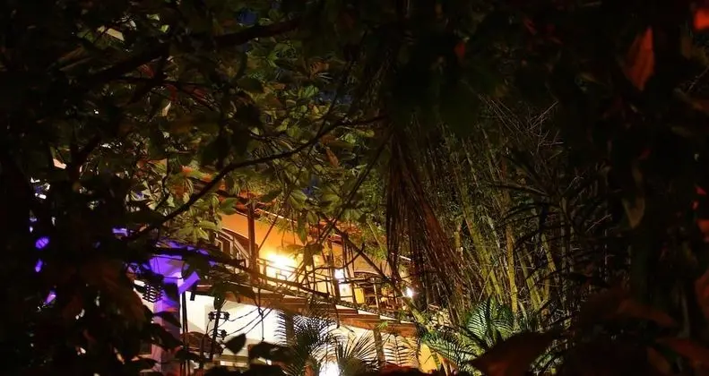 Primrose Guest house - Dış Mekan