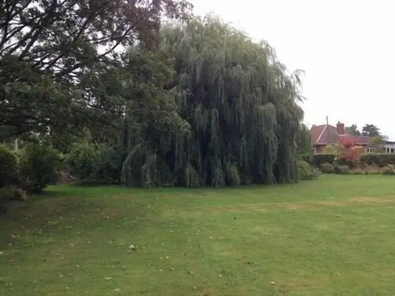 Primrose Lodge B&B