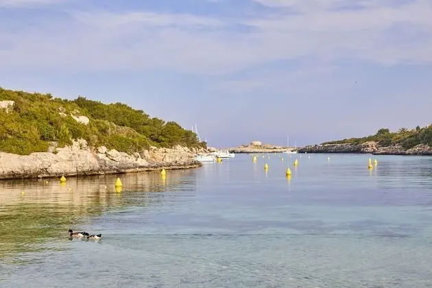 Prinsotel La Caleta Hotel - Plaj
