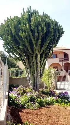 Privacy & Relax in Sardegna - Dış Mekan