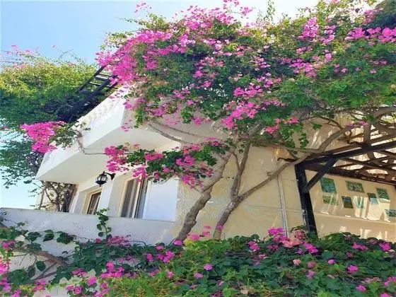 Private Junior Villa for up to 15 Persons - Dış Mekan