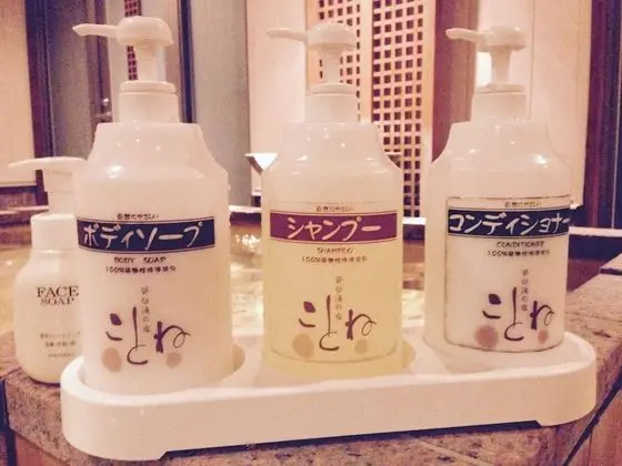 Private spa Hotel Kotone - Spa