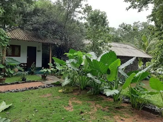 priya homestay kandalama