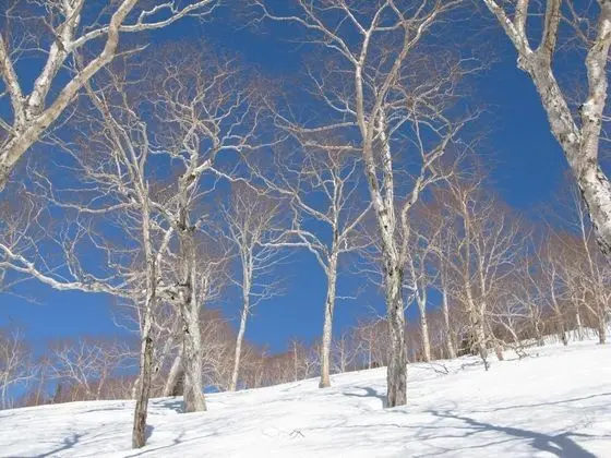 Resort Project Myoko Kogen - Dış Mekan