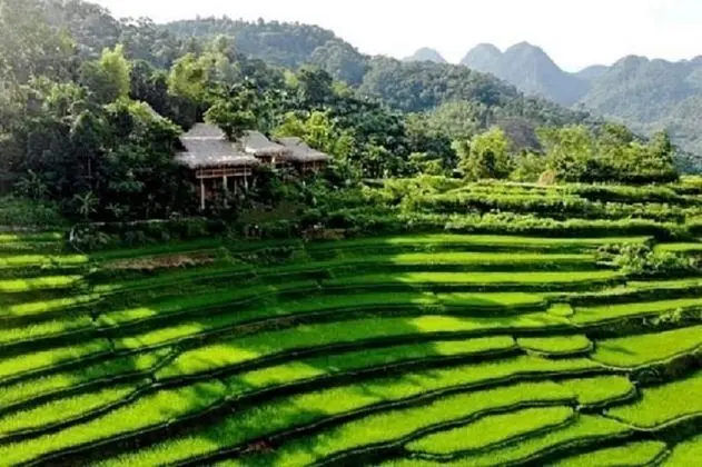 Pu Luong Boutique Garden
