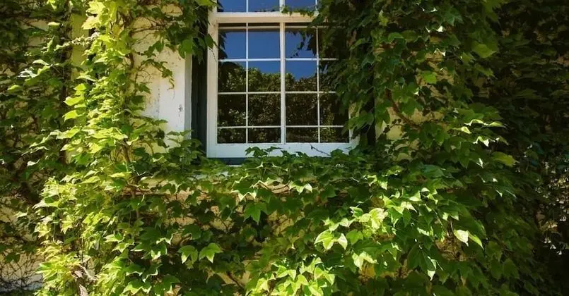 VILLA PUCCINI - Dış Mekan