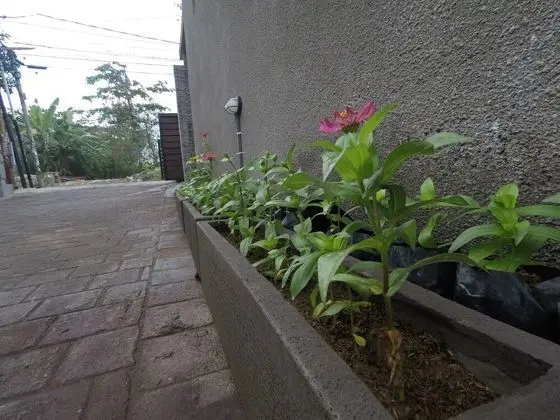 Pudi Homestay - Dış Mekan
