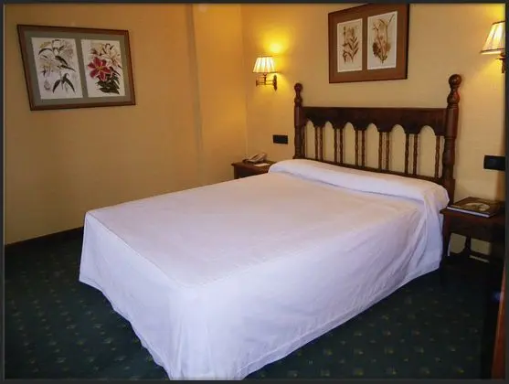 Puente Romano de Salamanca