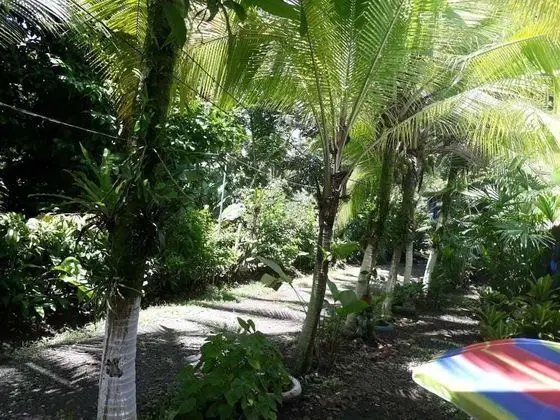 Puerto Viejo Ancora Blu Hostel - Dış Mekan