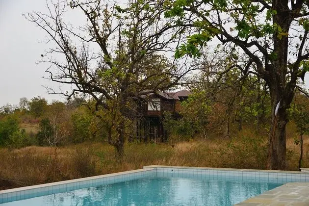 Pugdundee Safaris - Pench Tree Lodge - Havuz