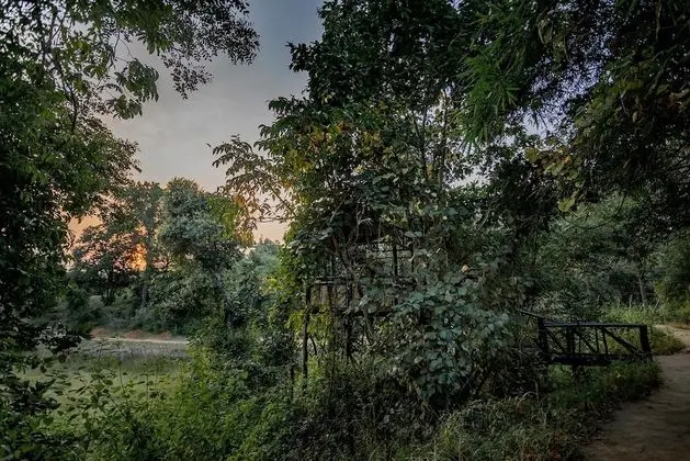 Pugdundee Safaris- Tree House Hideaway - Dış Mekan