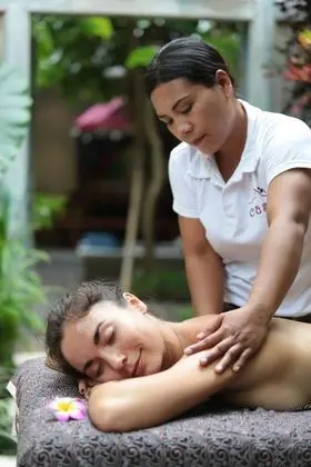 Pulau Boutique Villas - Spa