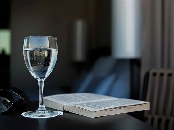 Pullman Basel Europe