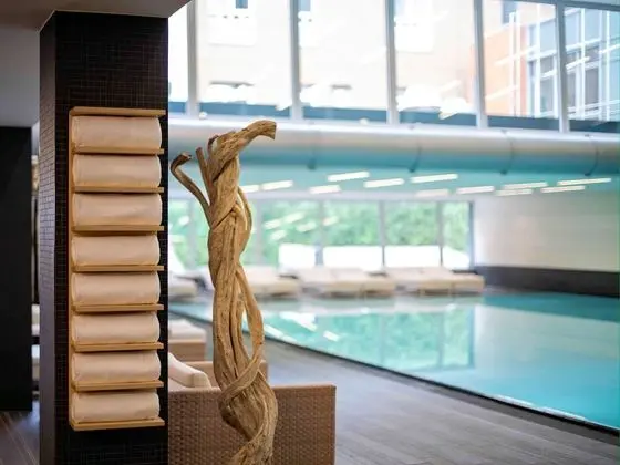 Pullman Berlin Schweizerhof - Havuz