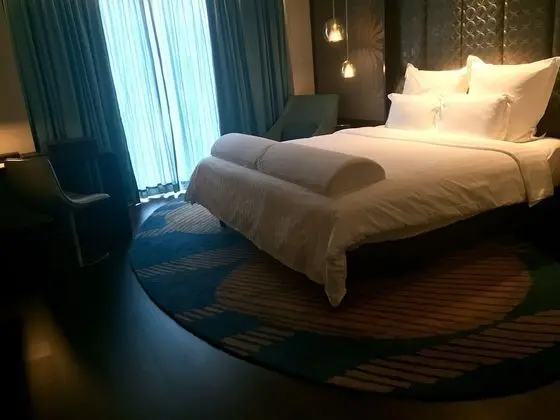 Pullman New Delhi Aerocity Hotel - Oda