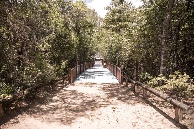Pullman Palm Cove Resort And Spa - Plaj