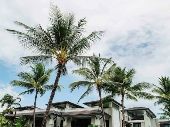 Pullman Port Douglas Sea Temple Resort and Spa - Öne Çıkan Resim