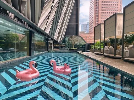 Pullman Singapore Orchard - Havuz