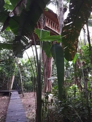 Hotel Pulmon del Mundo