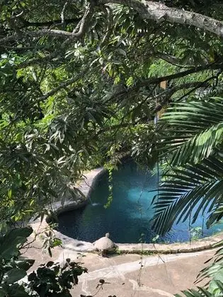 Pulse Suites at Villa Ronai - Havuz