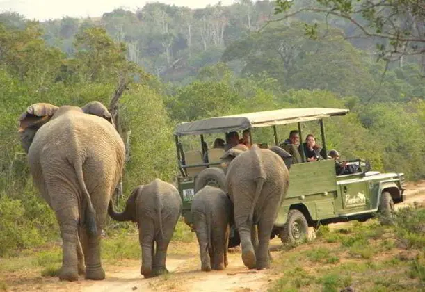 Pumba Private Game Reserve